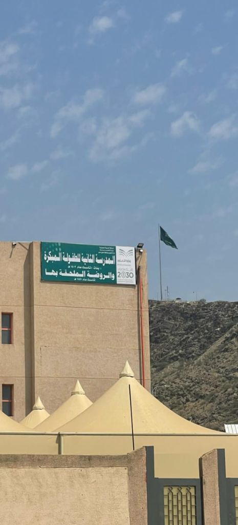 المدرسة الثانية للطفولة المبكرة